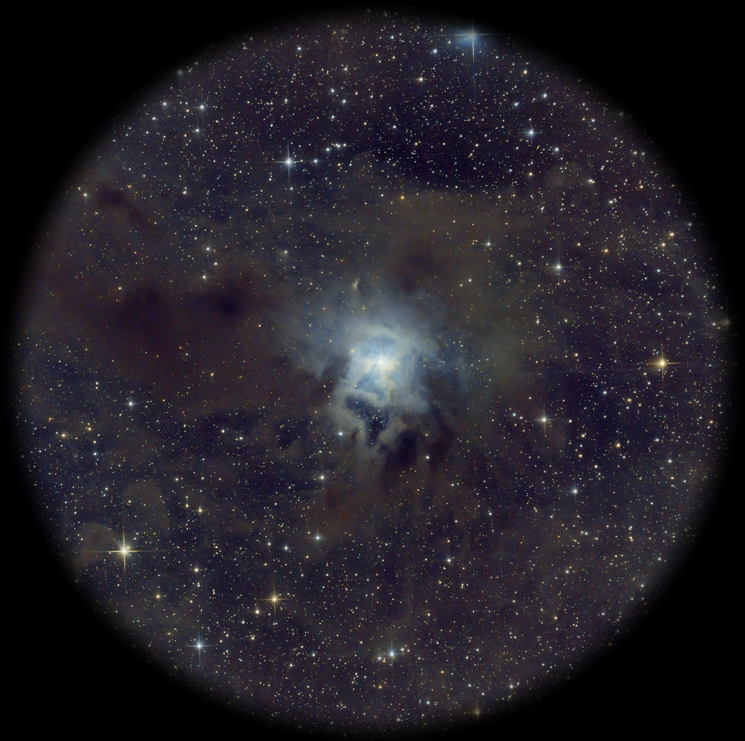 Sony Nex Astrophotography Pegasus Astro SmartEye Smart Eyepiece